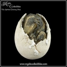Beeldje Hatching Dinosaur Egg (Dinosaurus - Dinosaurussen)