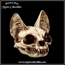 Beeld Bastet's Secret Skull (Schedel - Skulls - Schedels)