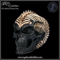 Beeld Spine Head Skull - James Ryman (Schedel - Skulls - Schedels)
