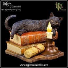 Beeld The Witching Hour - Lisa Parker (Kat - Katten)