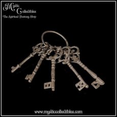 Bundel van 5 Metalen Dungeon Keys (Middeleeuwen)