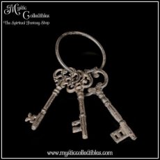 Bundel van 3 Metalen Keys to the Chambers (Middeleeuwen)