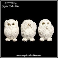 OW-FG001 Beeldjes Drie Wijze Uiltjes - Three Wise Owls (Horen - Zien - Zwijgen) (Uil - Uilen)
