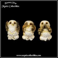 Beeldjes Drie Wijze Bruine Uiltjes - Three Wise Brown Owls (Horen - Zien - Zwijgen) (Uil - Uilen)