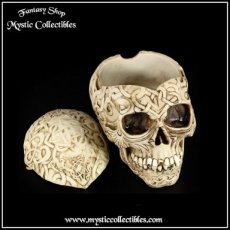 Doosje Celtic Skull Box (Schedel - Schedels - Skulls)