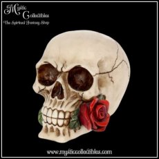 Schedel Beeld - Rose From The Dead (Skull - Schedels - Skulls)