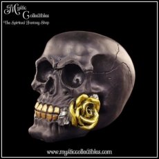 SK-SCH010 Schedel Beeld - Black Rose From The Dead (Skull - Schedels - Skulls)