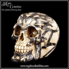 Schedel Beeld - Tribal Iron (Skull - Schedels - Skulls)