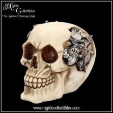 Schedel Beeld - Clockwork Cranium (Steampunk - Skull - Schedels - Skulls)