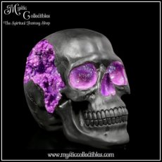 Schedel Beeld - Geode Skull (Schedels - Skulls)