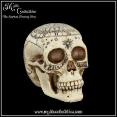 SK-SCH066 Schedel Beeld - Astrological Skull (Schedels - Skulls)