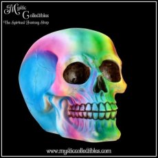 Schedel Beeld - Rainbow (Skull - Schedels - Skulls)